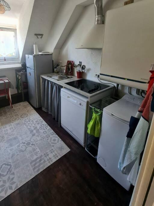 Appartement Centre Ville Terrasse Jardin Garage Chez Priscilla Aurillac Dış mekan fotoğraf